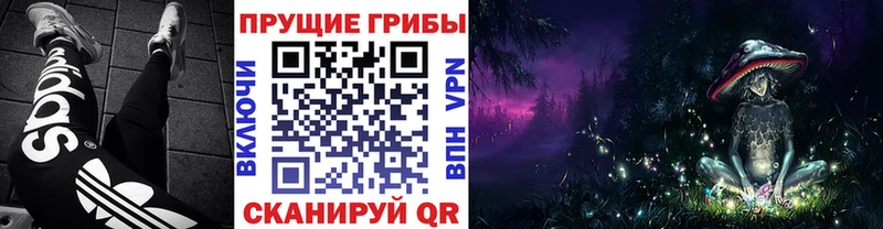 наркошоп  Камышлов  ОМГ ОМГ рабочий сайт  Псилоцибиновые грибы прущие грибы 